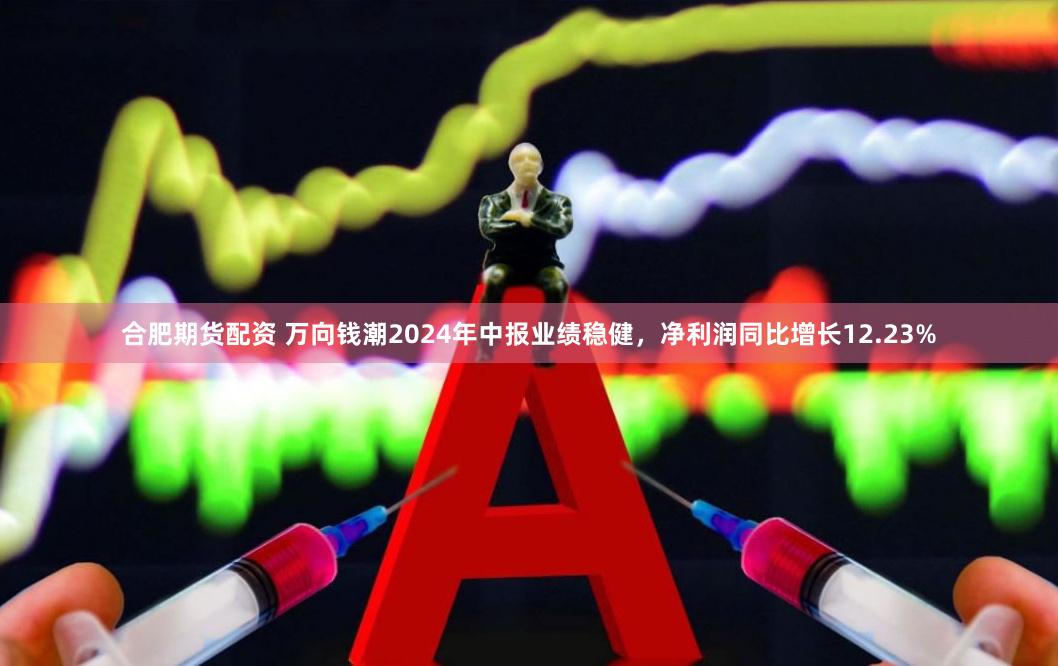 合肥期货配资 万向钱潮2024年中报业绩稳健，净利润同比增长12.23%