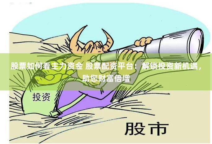 股票如何看主力资金 股票配资平台：解锁投资新机遇，助您财富倍增