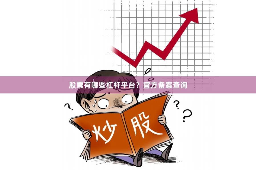 股票有哪些杠杆平台？官方备案查询